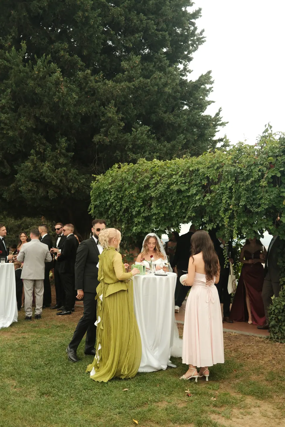 Guests mingling under a vine pergola after the ceremony