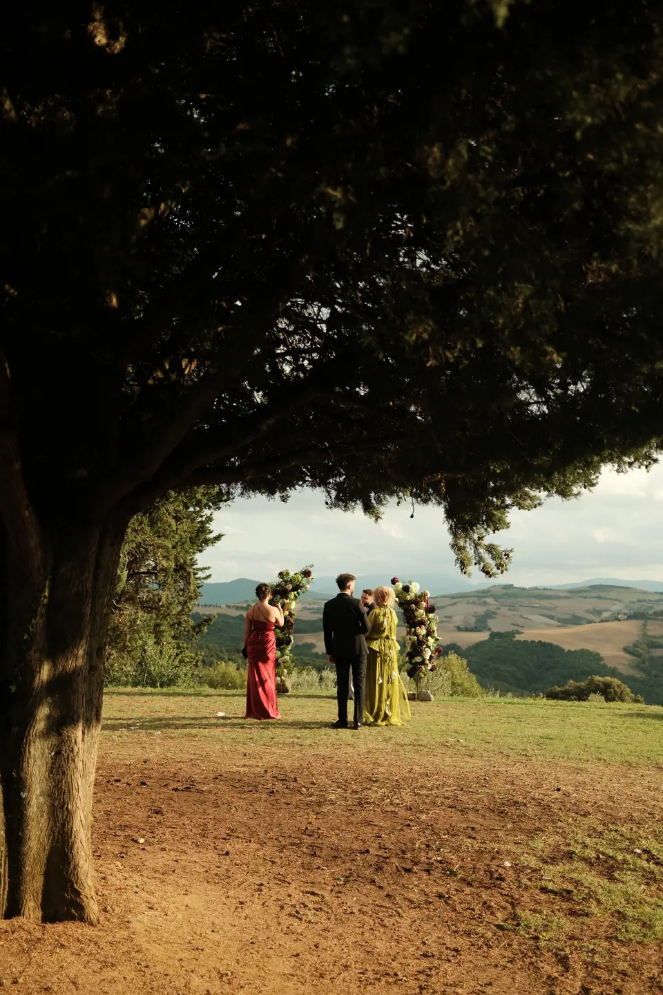 The couple with guests on the hilltop beneath a tree, the valley below