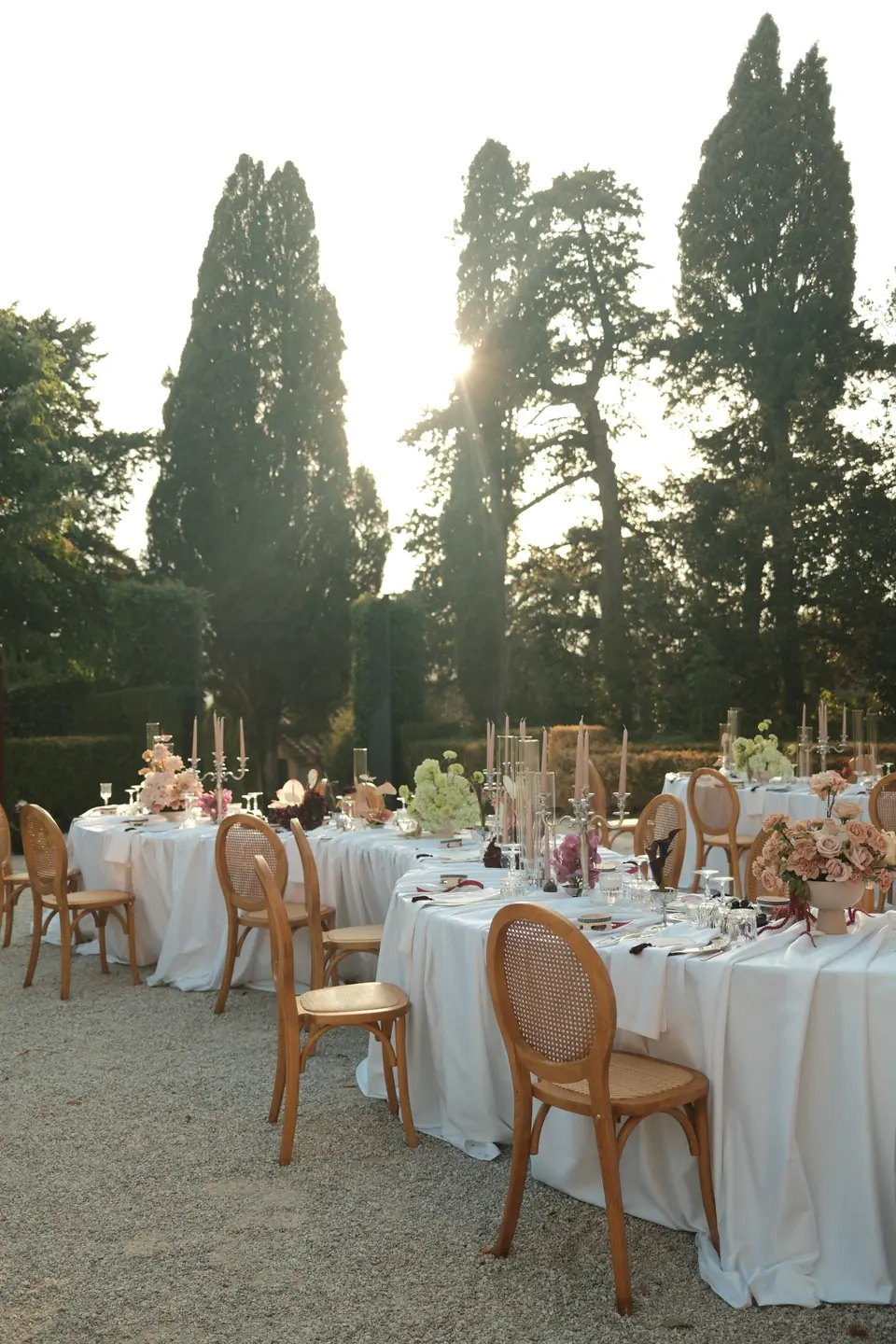 The dinner tables glowing in low sun beneath the cypresses