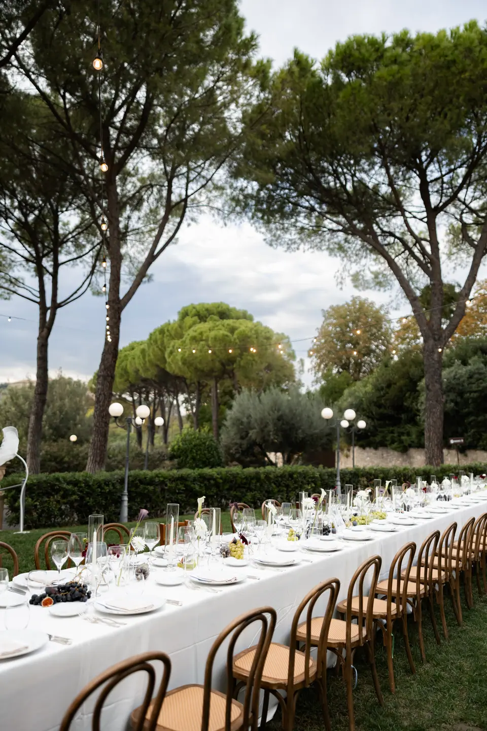 Long dinner tables beneath umbrella pines strung with lights
