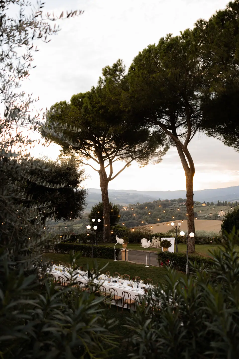 Dinner tables glowing beneath the pines at dusk, seen through olive branches